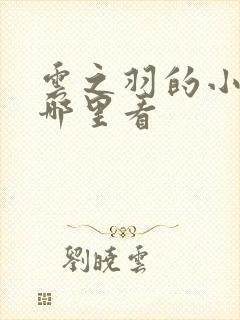 云之羽的小说在哪里看