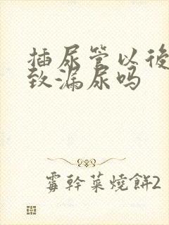 插尿管以后会导致漏尿吗