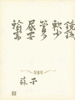 输尿管软镜碎石需要多少钱