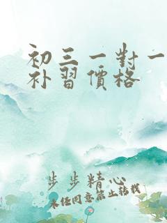 初三一对一物理补习价格