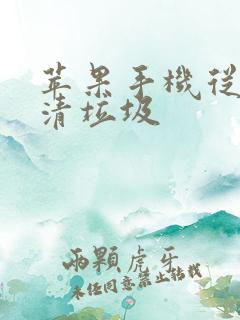 苹果手机从哪里清垃圾