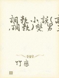 调教小说(高h,调教)双男主