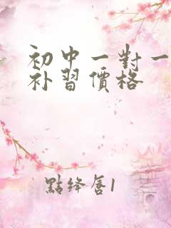 初中一对一英语补习价格