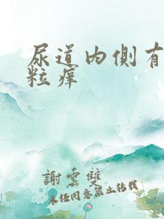 尿道内侧有小肉粒痒