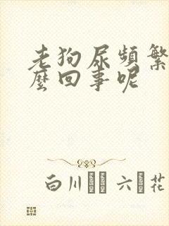 老狗尿频繁是怎么回事呢