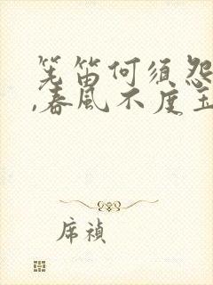 筅笛何须怨杨柳,春风不度玉门关的春风