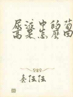 尿液中的葡萄糖高是怎么回事