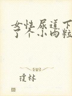 女性尿道下面长了个小肉粒