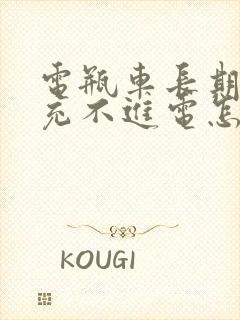 电瓶车长期不骑充不进电怎么办