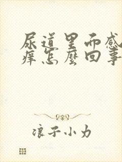 尿道里面感觉痒痒怎么回事