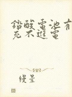 铅酸电池有电压充不进电