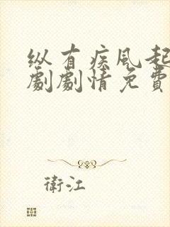 纵有疾风起电视剧剧情免费观看