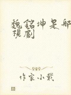 魏铭坤是哪部电视剧