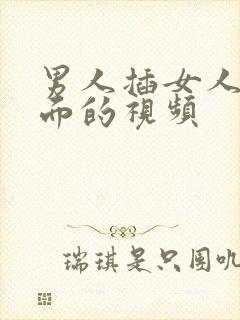 男人插女人的下面的视频