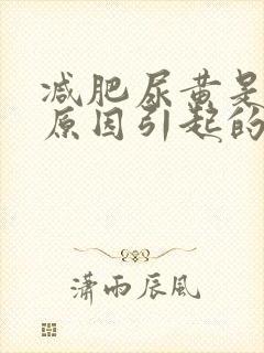 减肥尿黄是什么原因引起的