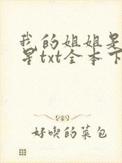 我的姐姐是大明星txt全本下载