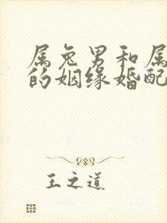 属兔男和属龙女的姻缘婚配