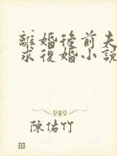 离婚后前夫哭着求复婚小说在线阅读免费