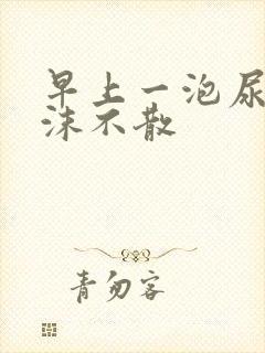 早上一泡尿有泡沫不散