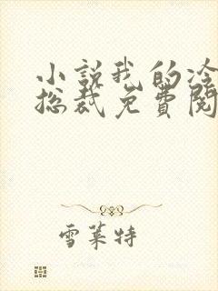 小说我的冷艳女总裁免费阅读