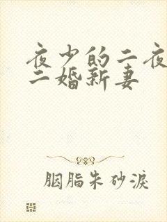 夜少的二夜少的二婚新妻