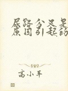 尿路分叉是什么原因引起的