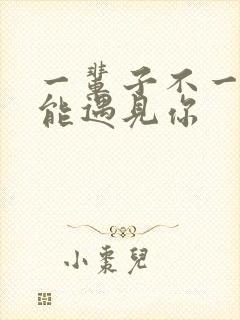 一辈子不一定还能遇见你