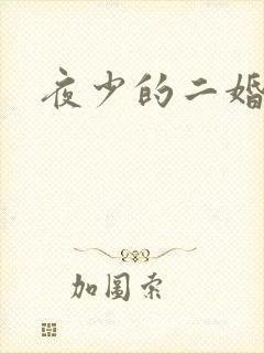 夜少的二婚新妻