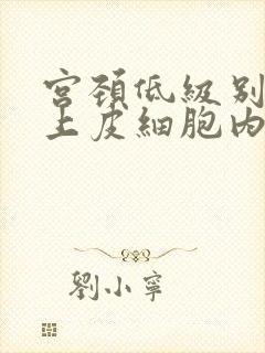 宫颈低级别鳞状上皮细胞内病变