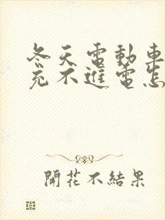 冬天电动车电池充不进电怎么办