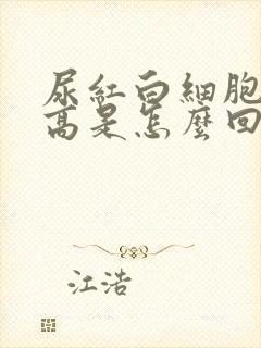 尿红白细胞计数高是怎么回事