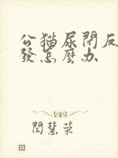 公猫尿闭反复复发怎么办