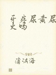 牙疼尿黄尿是上火吗