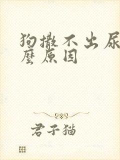 狗撒不出尿了什么原因