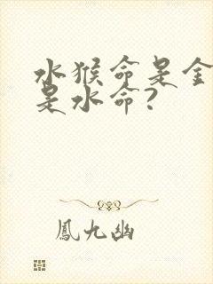 水猴命是金命还是水命?