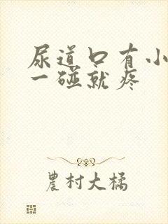 尿道口有小肉粒一碰就疼