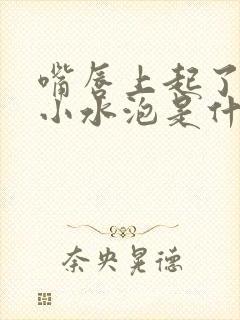 嘴唇上起了一堆小水泡是什么原因