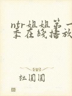ntr姐姐第一季在线播放全集