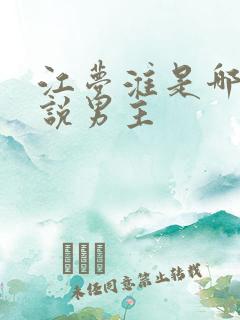 江梦淮是哪个小说男主