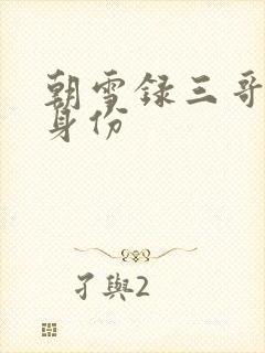 朝雪录三哥最后身份