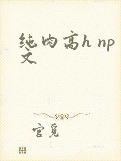 纯肉高h np文