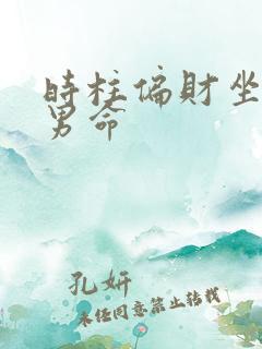 时柱偏财坐正财男命