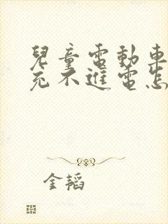 儿童电动车电瓶充不进电怎么办