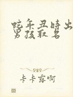 蛇年丑时出生的男孩取名