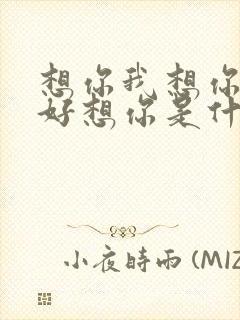 想你我想你真的好想你是什么歌