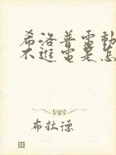 希洛普电动车充不进电是怎么回事