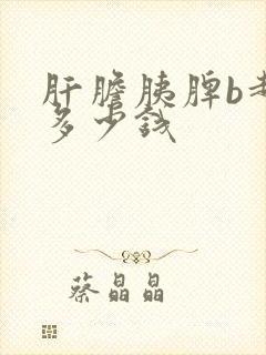 肝胆胰脾b超要多少钱