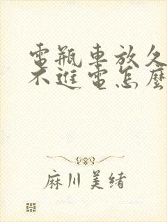 电瓶车放久了充不进电怎么办