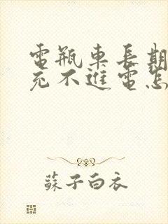 电瓶车长期不骑充不进电怎么办