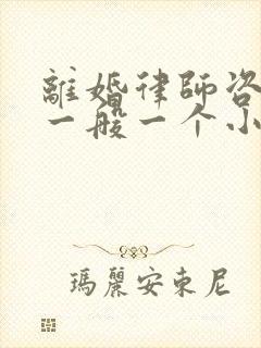 离婚律师咨询费一般一个小时多少钱